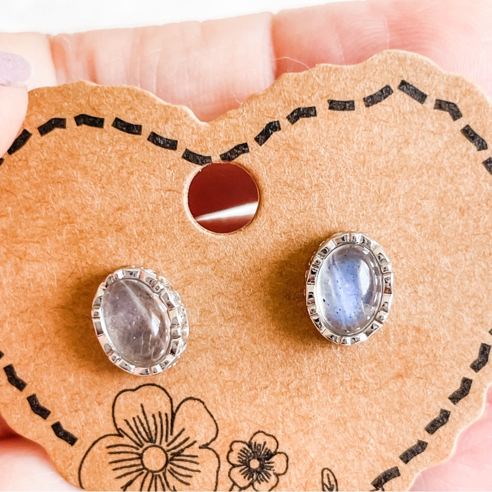 ✨Labradorite Earrings✨ s925 stem